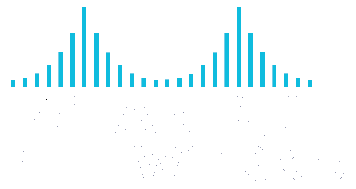 Istanbul Networks – Managed IT Service Provider